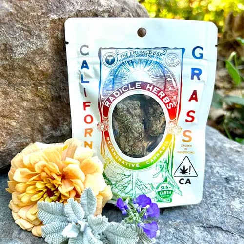 Jack Herer 14g