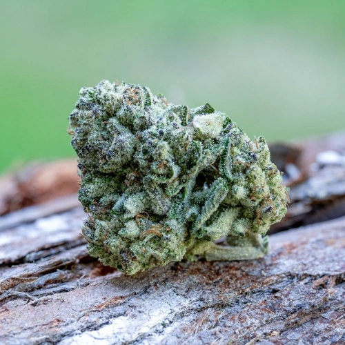 Hella Jelly 7.5g